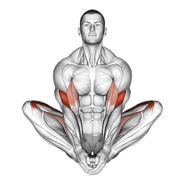 Butterfly Yoga Pose