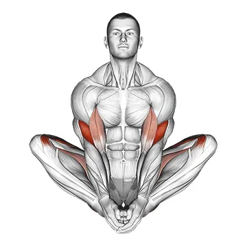 Butterfly Yoga Pose