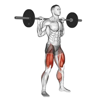 Barbell Olympic Squat