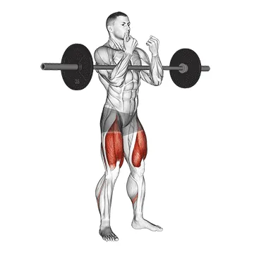 Barbell Zercher Squat