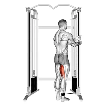 Standing Leg Curl