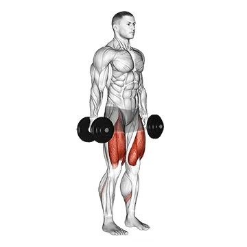 Dumbbell Squat
