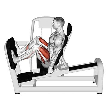 Lever Seated Wide Squat