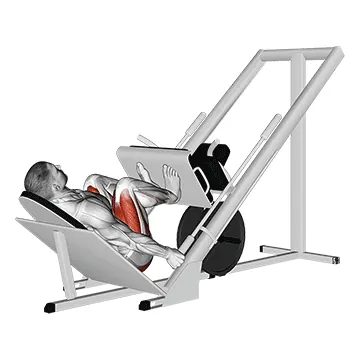 Sled 45├╕ Narrow Stance Leg Press