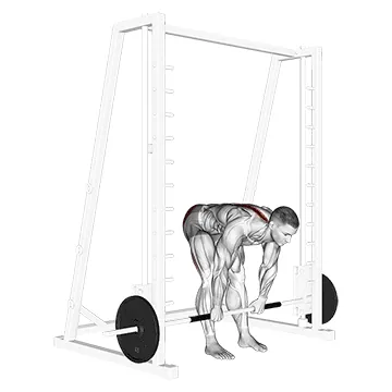 Smith Stiff Legged Deadlift