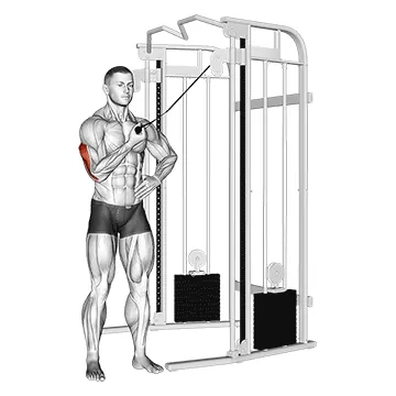 Cable One Arm Side Triceps Pushdown