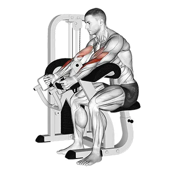 Lever Hammer Grip Preacher Curl