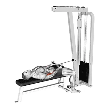 Cable Lying Bicep Curl