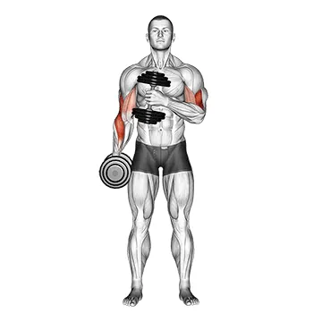 Dumbbell Cross-Body Hammer Curl (Version 2)