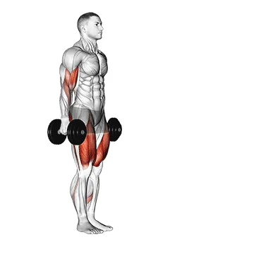 Dumbbell Lunge with Bicep Curl