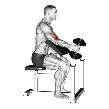 Dumbbell One-Arm Hammer Preacher Curl