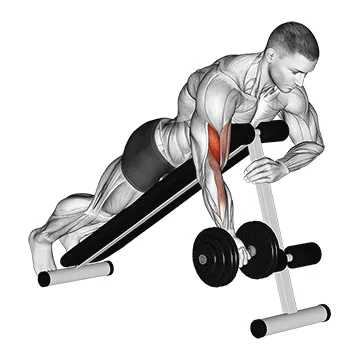 Dumbbell One-Arm Prone Curl