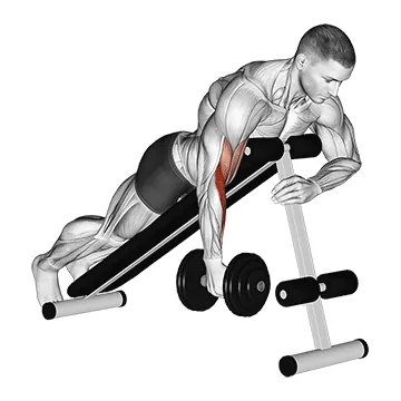 Dumbbell One-Arm Prone Hammer Curl