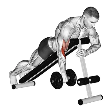 Dumbbell One-Arm Reverse Spider Curl
