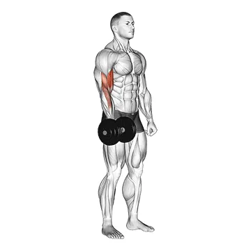 Dumbbell One-Arm Standing Curl