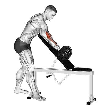Dumbbell Standing One-Arm Curl over Incline Bench