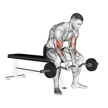 EZ Bar Seated Close Grip Concentration Curl