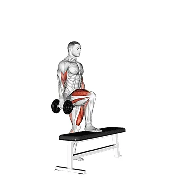 Dumbbell Step-Up with Bicep Curl