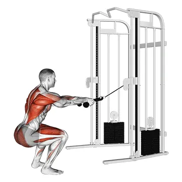 Cable Squat Row (with rope attachment)_Back