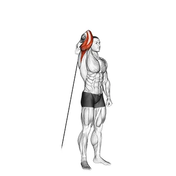 Cable Standing Reverse Grip One Arm Overhead Tricep Extension