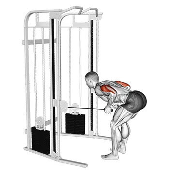 Cable Two Arm Tricep Kickback