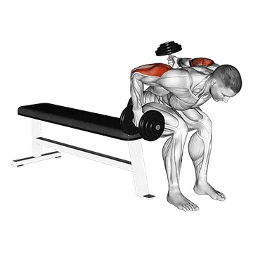 Dumbbell Seated Bent-Over Alternate Kickback