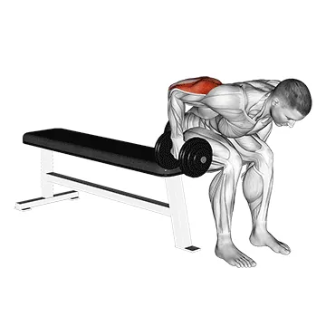 Dumbbell Seated Bent-Over Triceps Extension