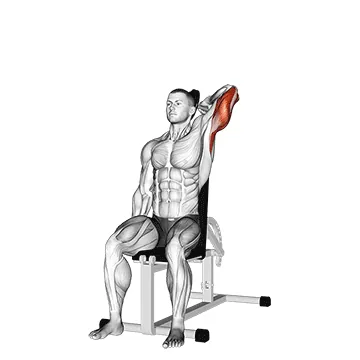 Dumbbell Seated Reverse-Grip One-Arm Overhead Triceps Extension