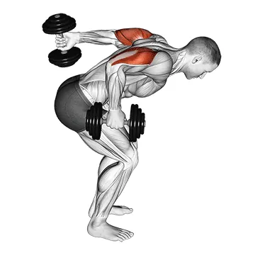 Dumbbell Standing Alternating Triceps Kickback