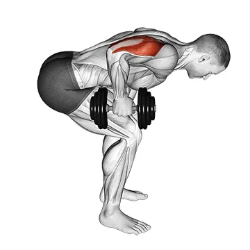 Dumbbell Standing Bent-Over One-Arm Triceps Extension