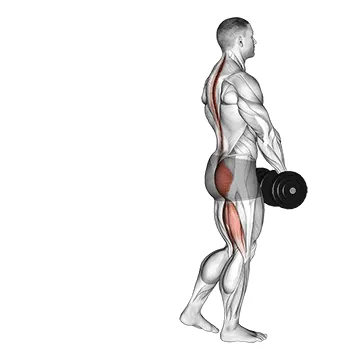 Single-Leg RDL
