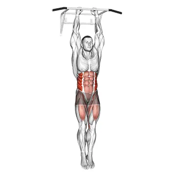Hanging Knee Raise