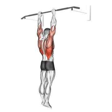 Shoulder Grip Pull Up
