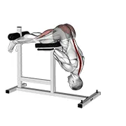 45-Degree Hyperextension