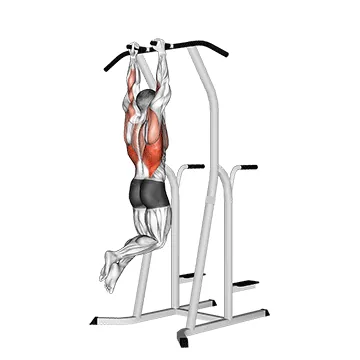 Hammer Grip Pull up on Dip Cage