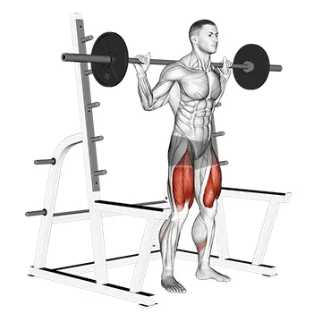 Barbell Low Bar Squat with Rack