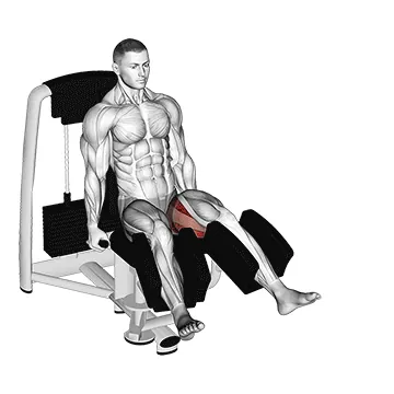Lever Seated Hip Abduction