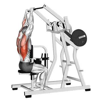 Lever Lateral Pulldown (plate loaded)