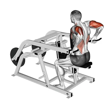 Lever Triceps Dip (plate loaded)