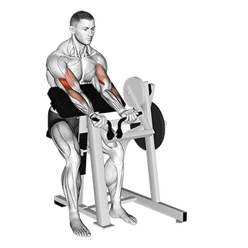 Machine Curl