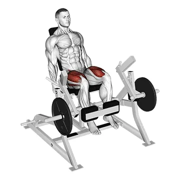 Lever Leg Extension (plate loaded)