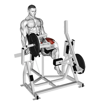 Lever Alternate Leg Extension (plate loaded)