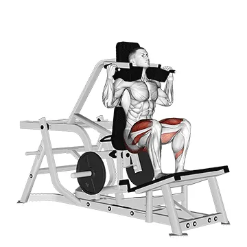 Lever Squat (plate loaded)