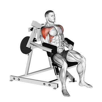 Lever Lateral Raise (plate loaded)