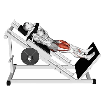 Sled Full Hack Squat