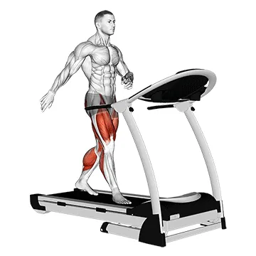 Treadmill Walk