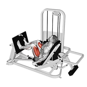 Lever Seated Leg Press