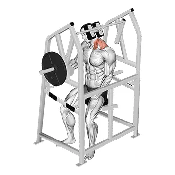 Lever Neck Left Side Flexion (plate loaded)