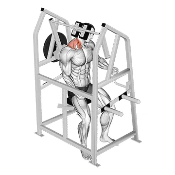 Lever Neck Right Side Flexion (plate loaded)