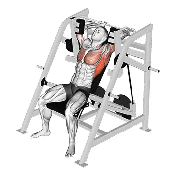 Lever Pullover (plate loaded)